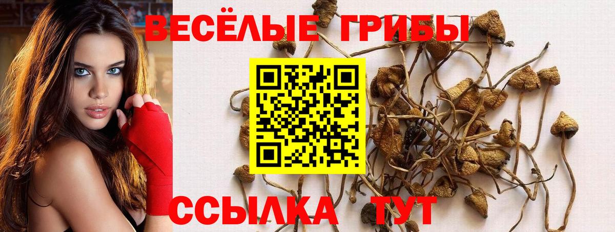 Псилоцибиновые грибы MAGIC MUSHROOMS Малгобек